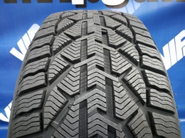 225/45R17 Taurus Winter 94V XL FR