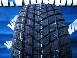 185/65R14 GT Radial Winterpro2 EVO 86T